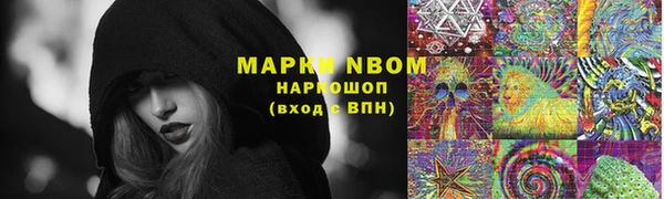 кокс Дмитров