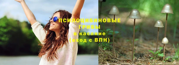 ECSTASY Дмитриев