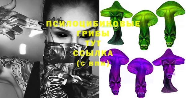 кокс Дмитров